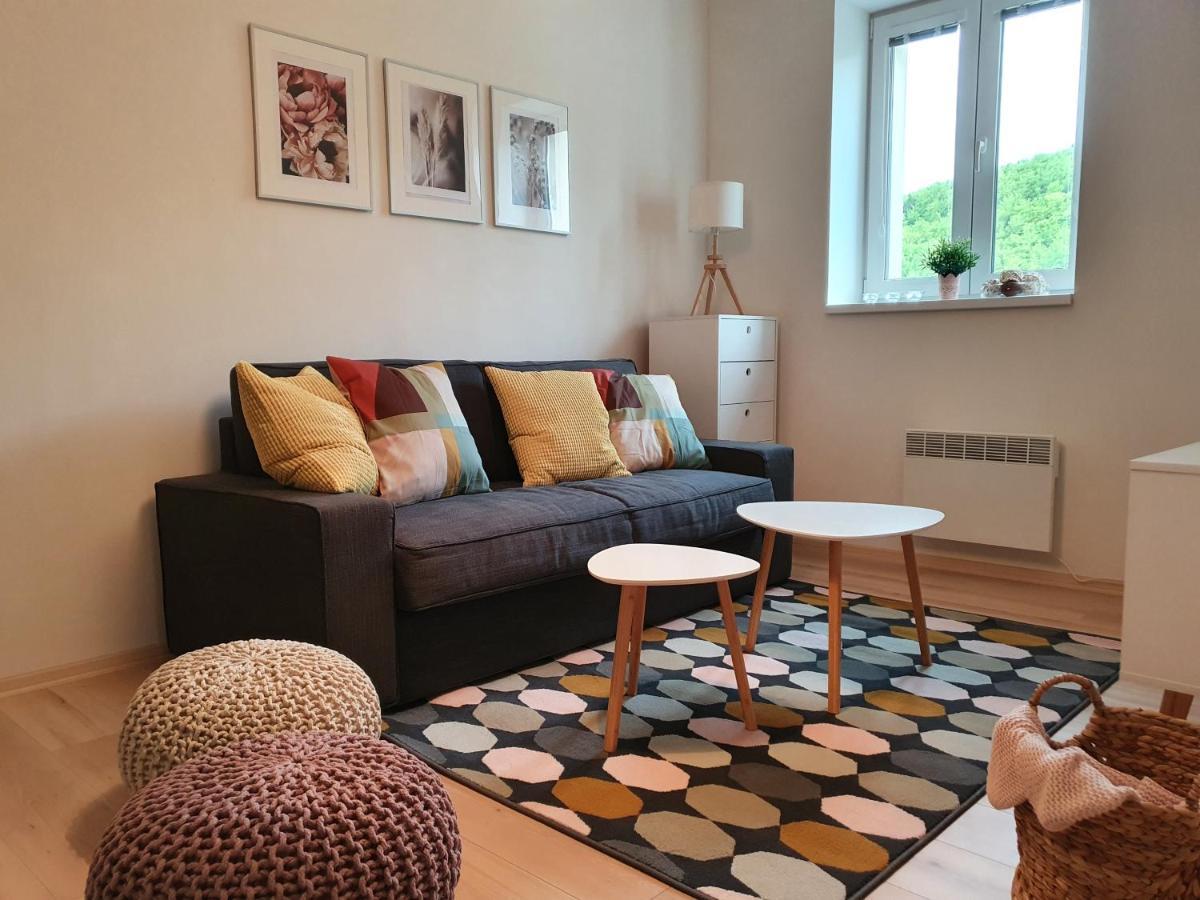 Apartmány Břachovna Mikulov v Krusnych Horach Exterior foto